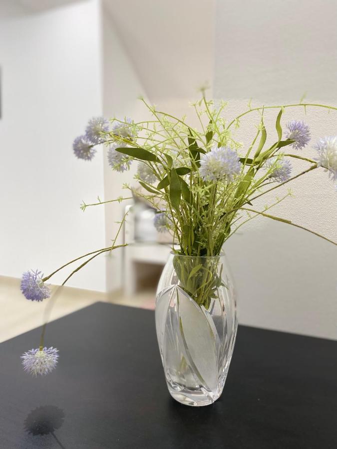 Apartma Azurre Postojna Exteriér fotografie